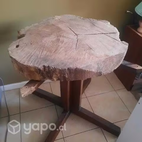 <p>Rodela de arbol más base</p>