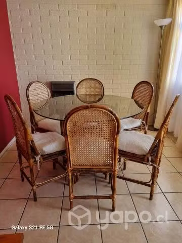 <p>Living Comedor</p>