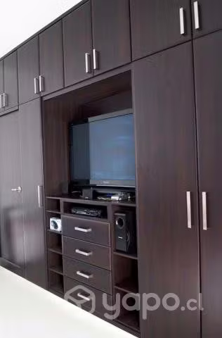 <p>Clósets, muebles y más</p>