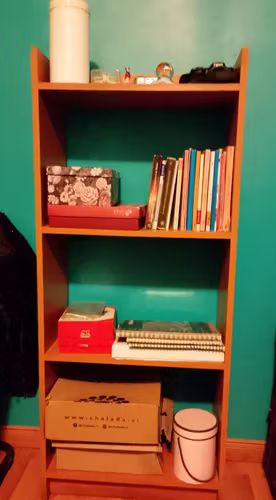 <p>Estante / Mueble organizador</p>