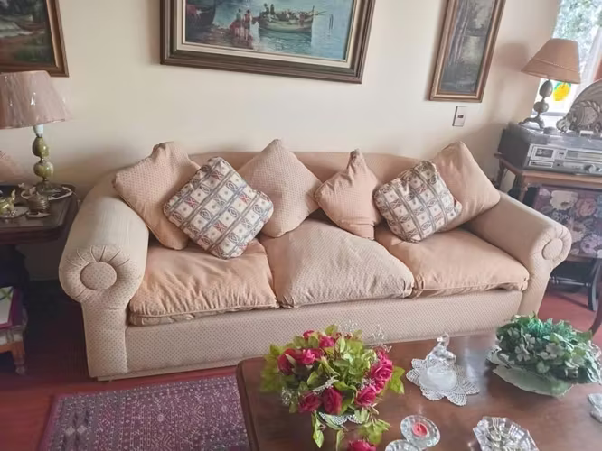 <p>Sofá de 3 lugares, madera y almohadas de pluma</p>