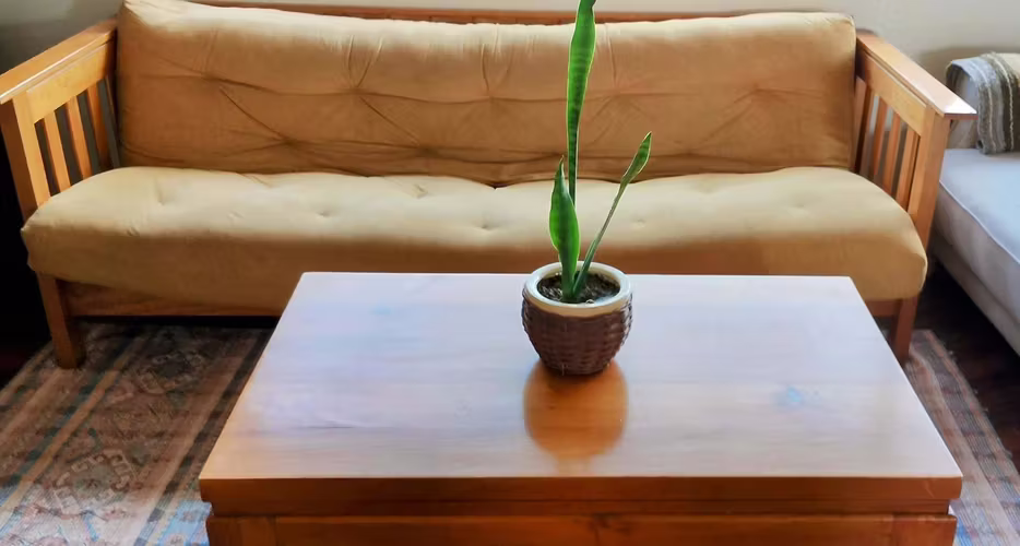 <p>Se vende futón más mesa de centro</p>