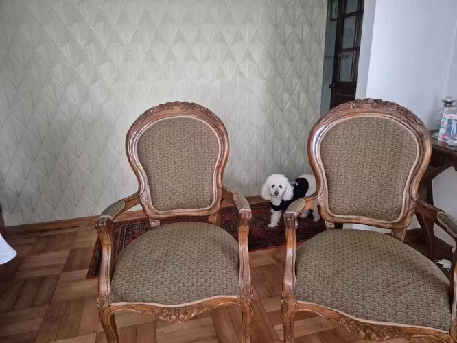 <p>Par de situales de encina</p>